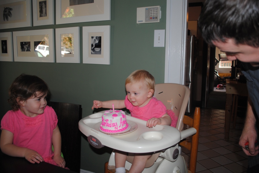 Amelia's First Birthday 181